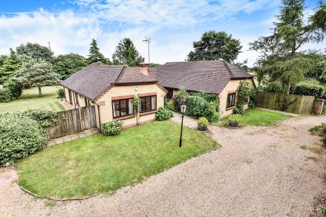Thumbnail Detached bungalow for sale in Ravensdane Wood, Charing, Ashford
