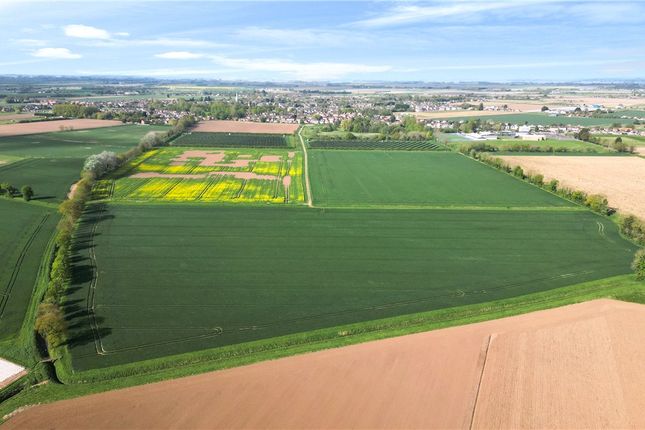 Thumbnail Land for sale in Lot 1 - Hall Marsh Farm, Long Sutton, Spalding, Lincolnshire