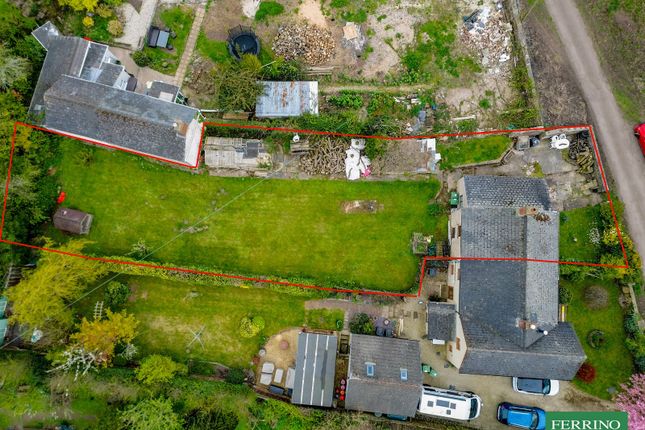 2 Oak Sloggers, Large Garden & Woodland Access, Lydney photo 2