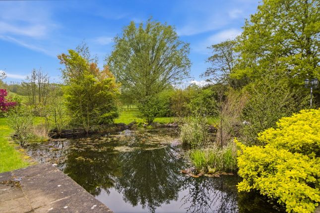 Mill House, Dymock photo 3