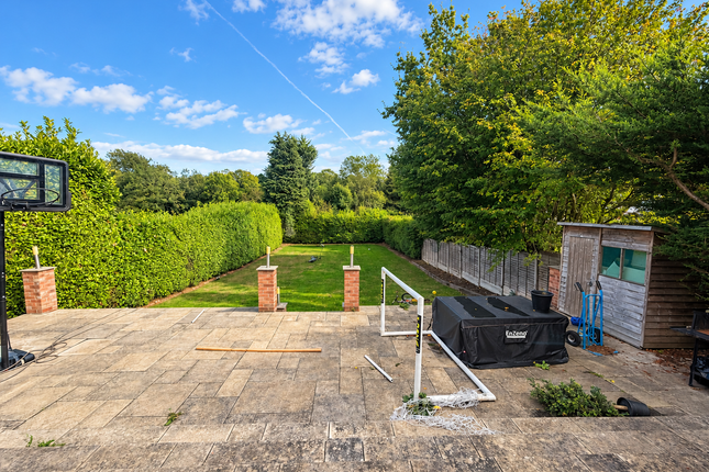 6, Orpington photo 5