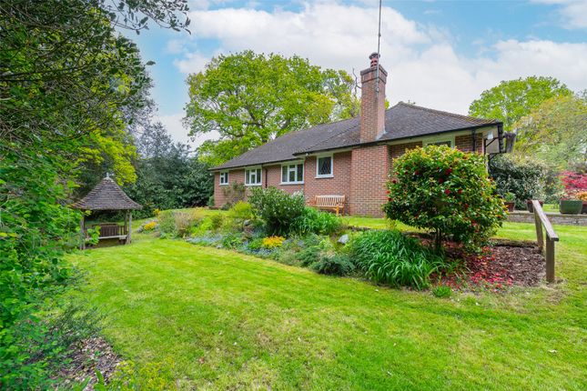 Thumbnail Bungalow for sale in Cricket Hill Lane, Yateley, Hampshire