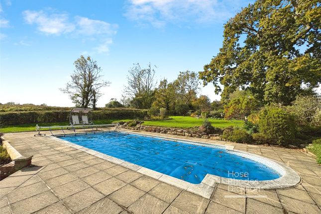 Brookfield Lodge,, Pondwell Hill, Isle of Wight photo 2