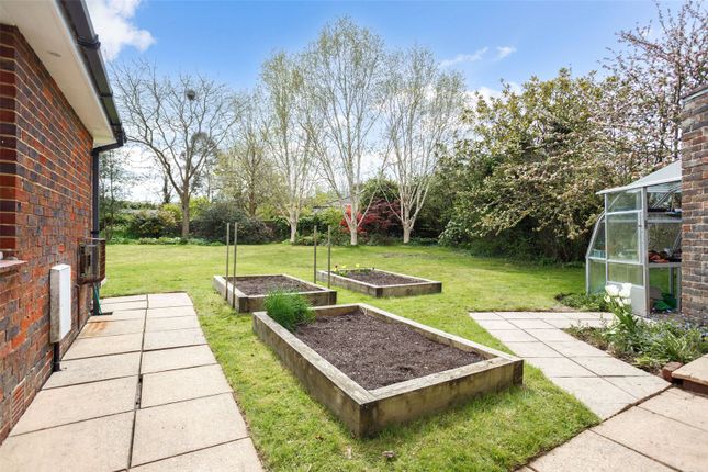 Bungalow for sale in Beacon Road, Ditchling, Hassocks