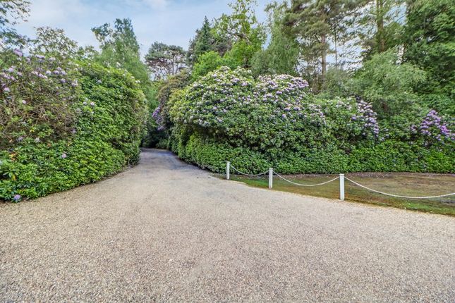 6 Lavershot Hall, London Road, Windlesham photo 4