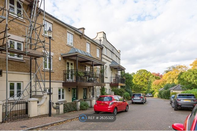 Brockwell Park Row