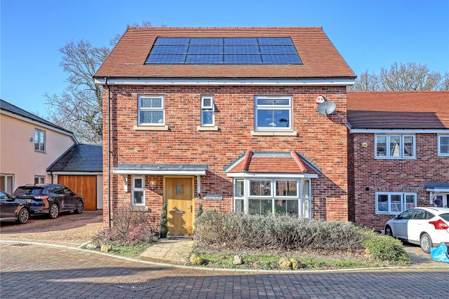 Thumbnail Detached house for sale in Watlington Gardens, Brentwood, Essex