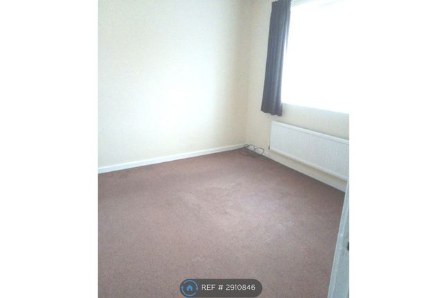 Sycamore Close, Ipswich photo 3