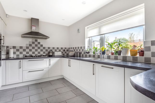 18, Orpington photo 2
