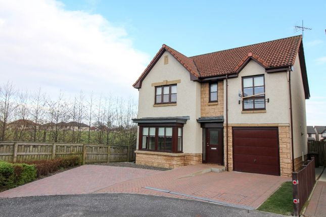 Thumbnail Detached house to rent in Cauldhame Street, Carron