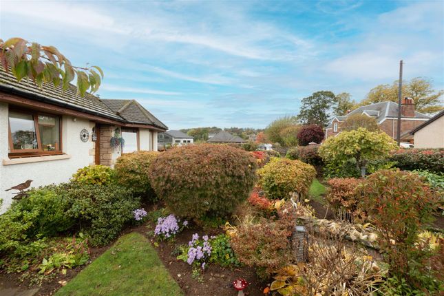 Alyth Road, Blairgowrie photo 2