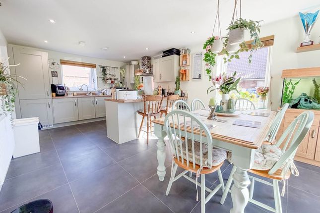 7, Ives Way, Norwich photo 4