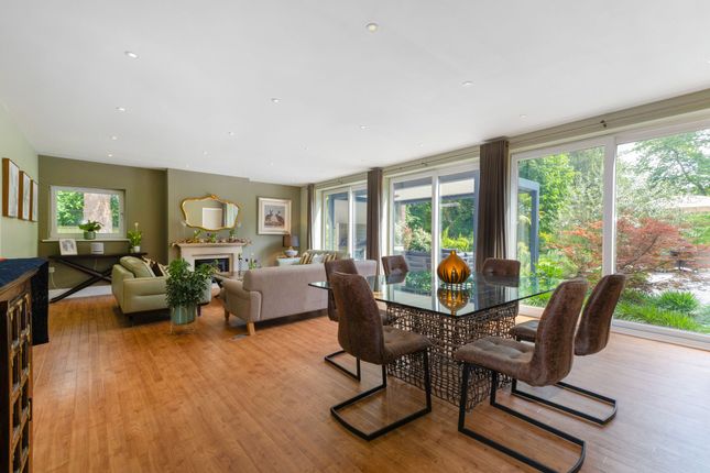 51, Wellhouse Road, Beech photo 3
