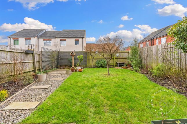 2, Treganna Street, Cardiff photo 4
