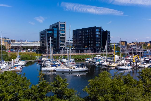 Bayscape Through Trees