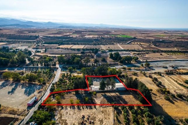 Land for sale in Orounda 2779, Cyprus