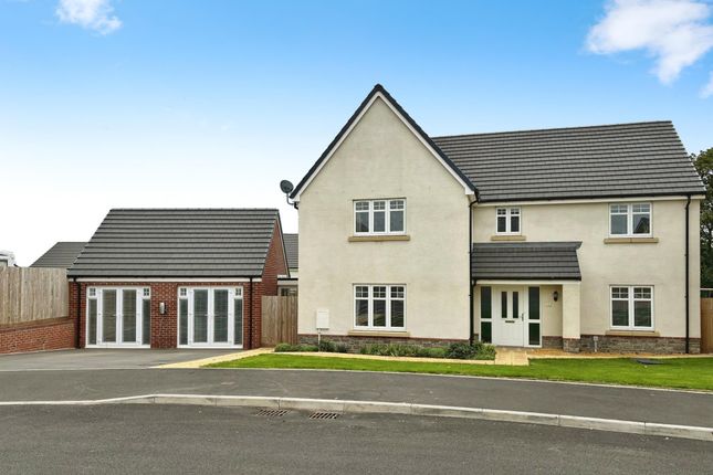 Thumbnail Detached house for sale in Castle Wood Road, Sully, Penarth