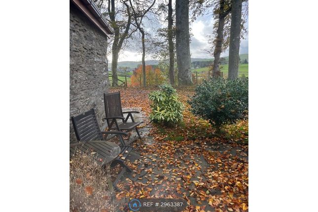 Hendre Llan, Cerrigydrudion photo 4