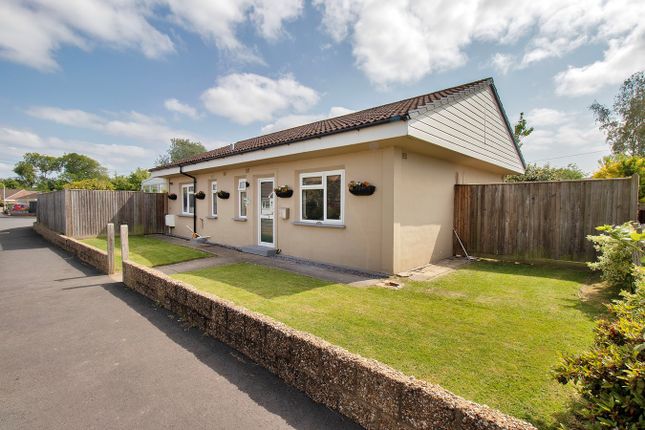 Thumbnail Bungalow for sale in Ashley Road, Hildenborough, Tonbridge