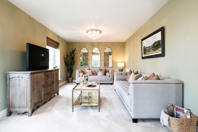 Showhome Photography
