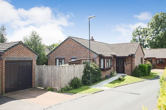 Thumbnail Detached bungalow for sale in Sunnyhill Close, Crawley Down