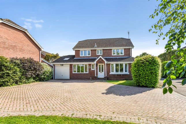 Thumbnail Detached house for sale in Pond Piece, Denmead, Waterlooville