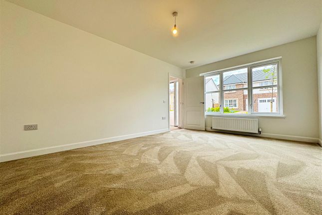 3, Kerry Grove, Hamilton photo 3