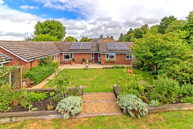Thumbnail Bungalow for sale in Pirton Road, Holwell, Hertfordshire