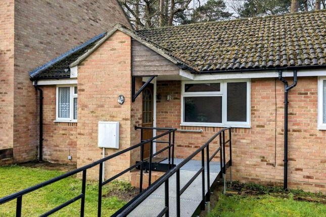 Thumbnail Bungalow for sale in Richmond Close, Whitehill, Hampshire