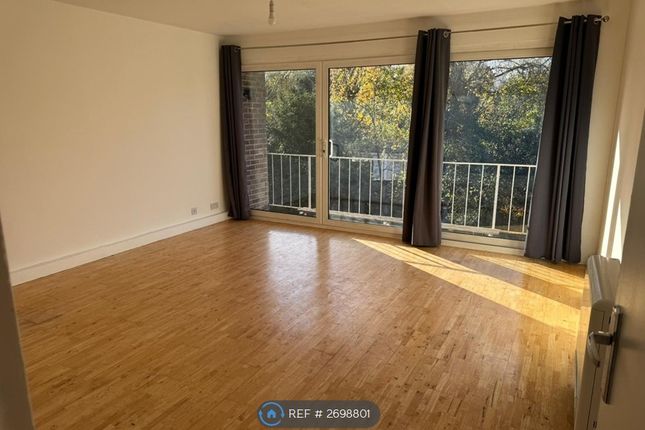 View Into Living Room