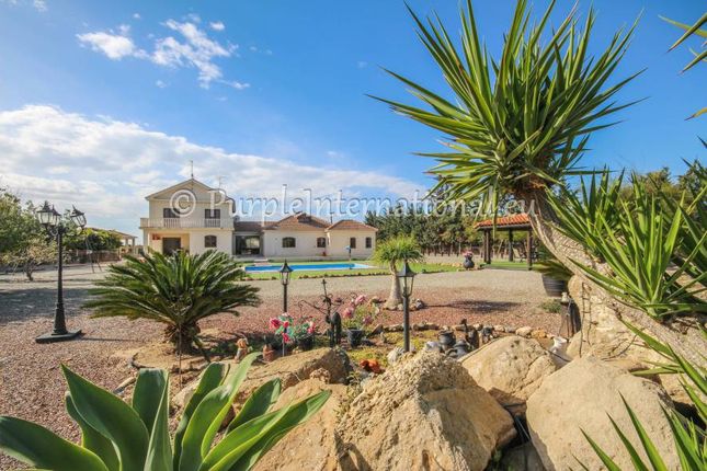 Properties for sale in Kiti, Larnaca, Cyprus - Primelocation