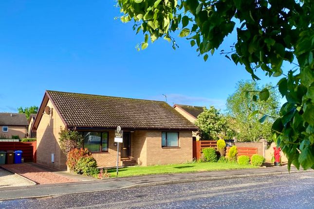 Thumbnail Detached bungalow for sale in Overmills Road, Ayr