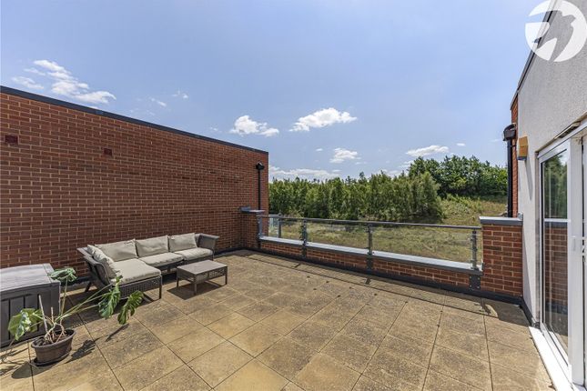 Roof Terrace