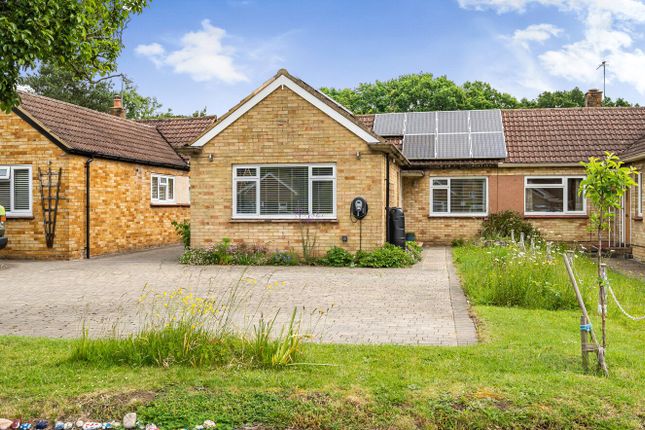 Thumbnail Bungalow for sale in Jacob's Well, Guildford, Surrey