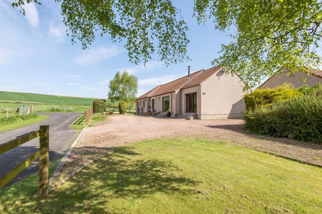 Thumbnail Bungalow for sale in Wemysshall Road, Ceres, Cupar
