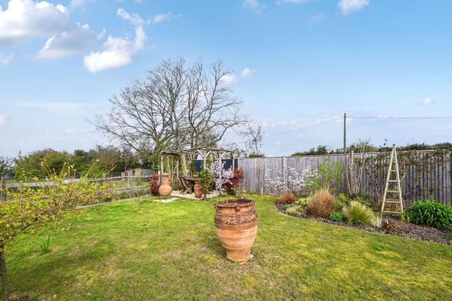 Paddocks, 2, Main Road, Winchelsea photo 4