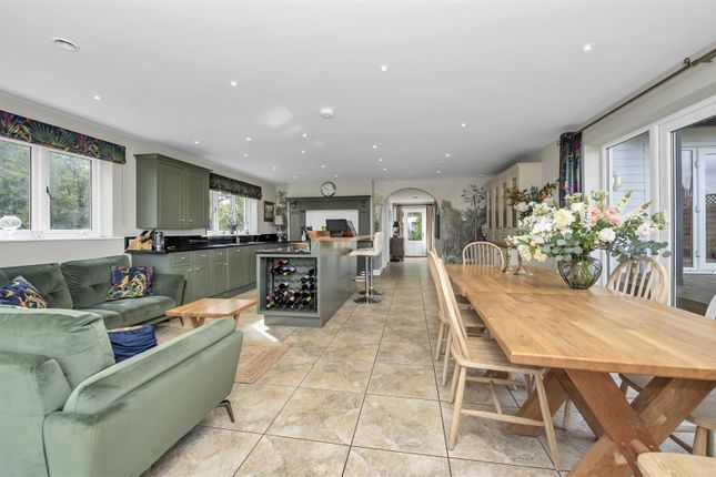 Deer View Lodge, Hibbs Green, Bury St Edmunds photo 2