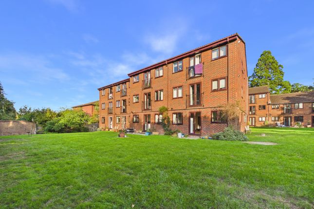11 Sequoia Park, Crawley photo 4