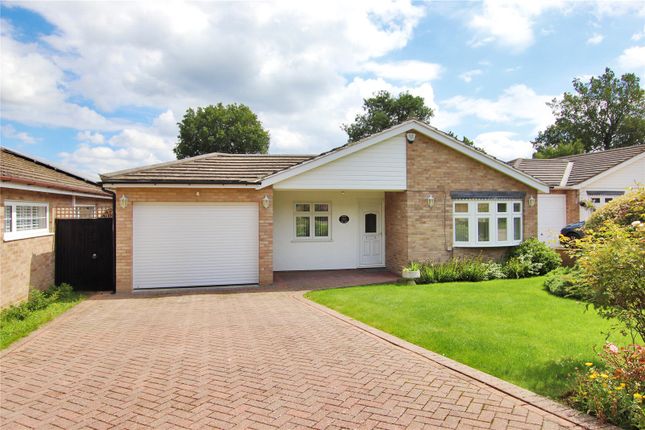 Thumbnail Bungalow for sale in The Oval, New Barn, Longfield, Kent