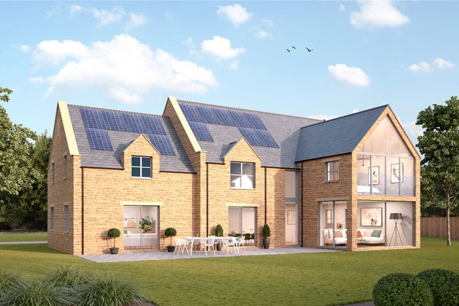 Proposed Dwelling