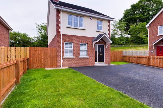 Thumbnail Detached house for sale in Ballyblaugh Meadows, Newry