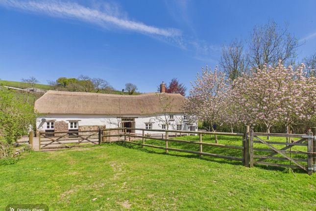 Little Kidland, Knowstone, South Molton photo 2