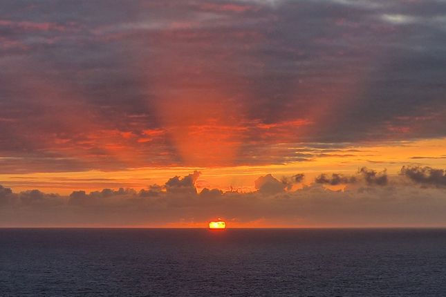 Sunset From Property