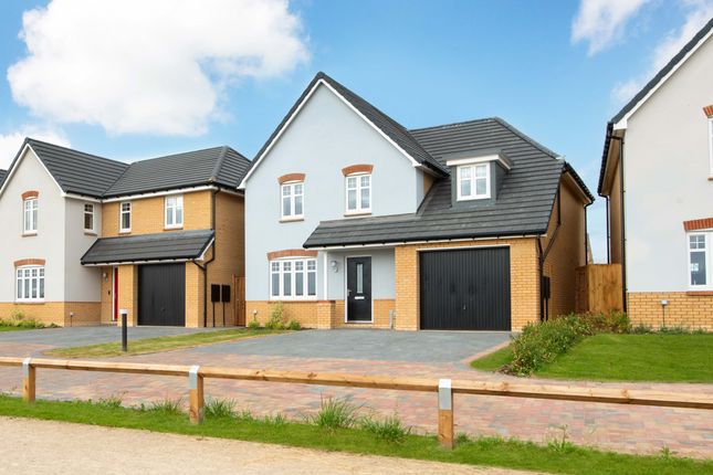 Thumbnail Detached house for sale in "Hale" at Southern Cross, Wixams, Bedford