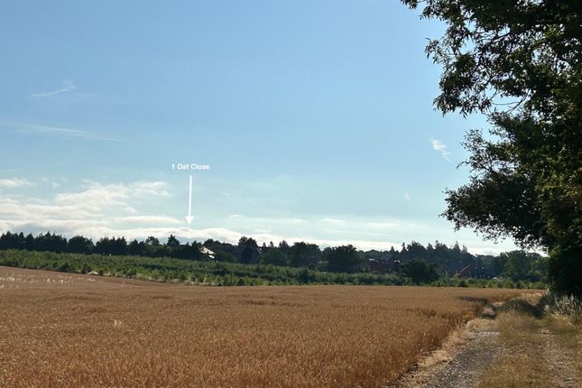 Surrounding Countryside