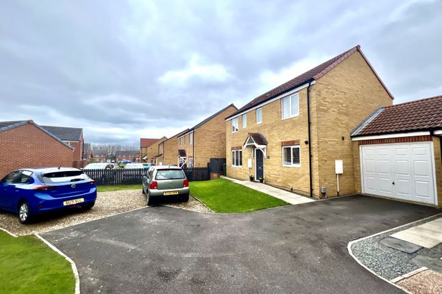 Thumbnail Terraced house for sale in Gooseberry Close, Hartlepool