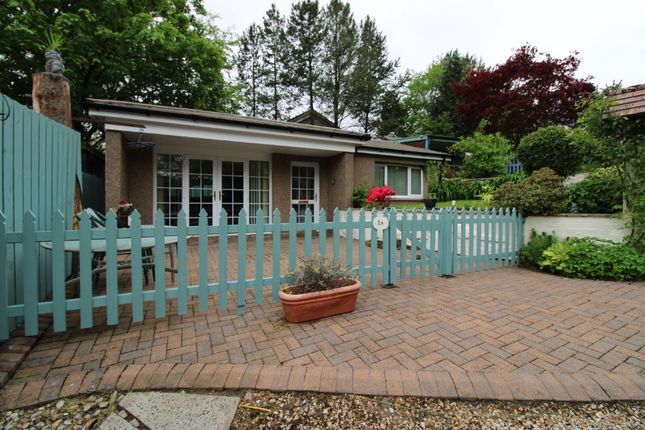 Thumbnail Bungalow to rent in Stirling Street, Dunipace