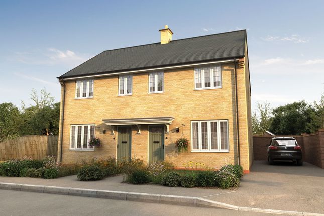Semi-detached house for sale in "The Birch" at Hookhams Path, Wollaston, Wellingborough
