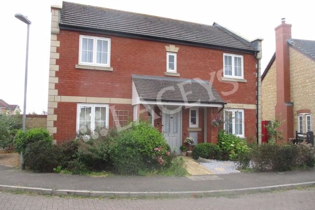 Thumbnail Detached house to rent in St. Michaels Gardens, South Petherton