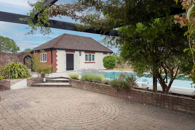 Apex Lodge, Great Tey Road, Colchester photo 2